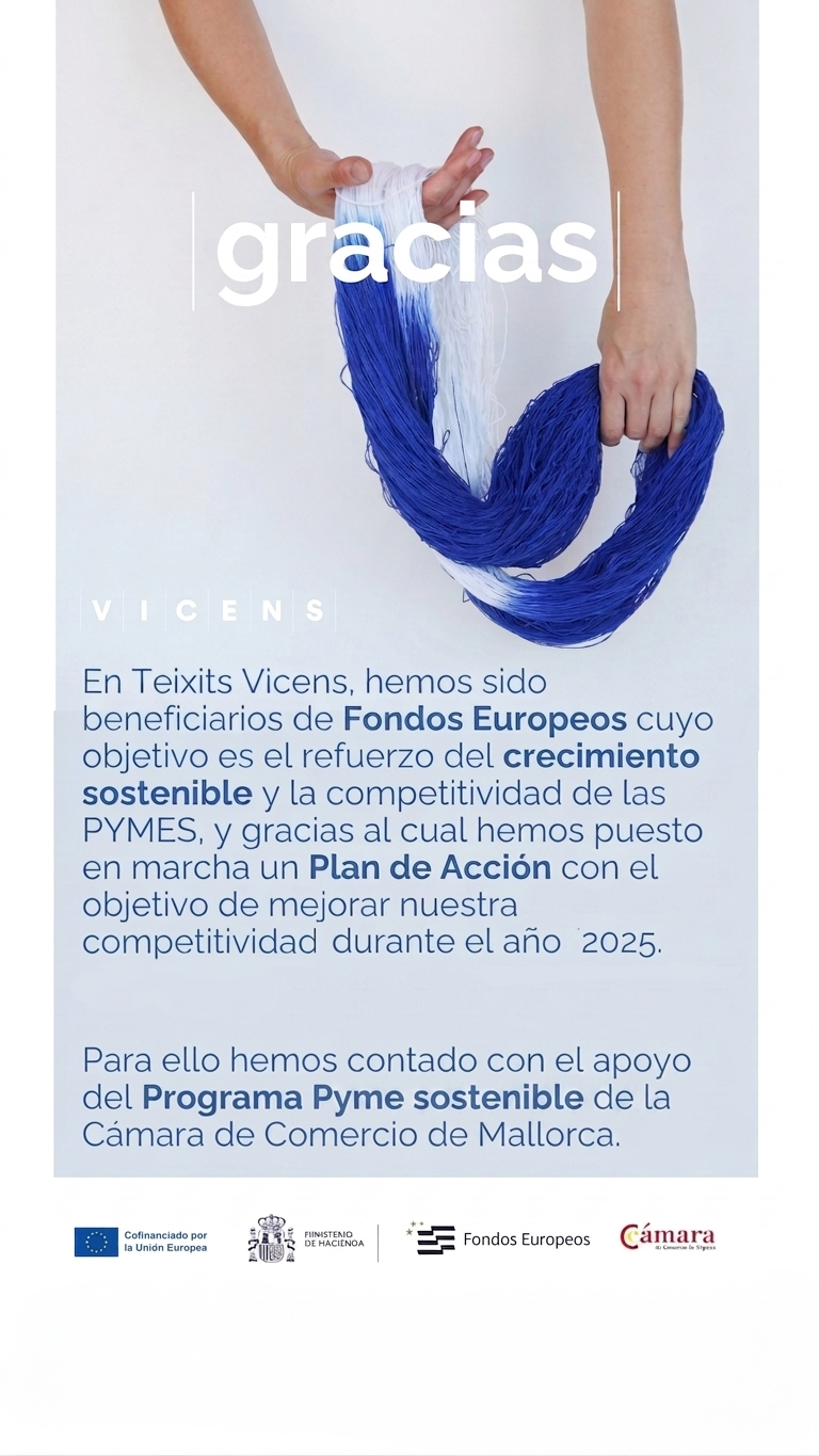 Business Digitalization: The Case of Teixits Vicens with the Xpande Digital Program