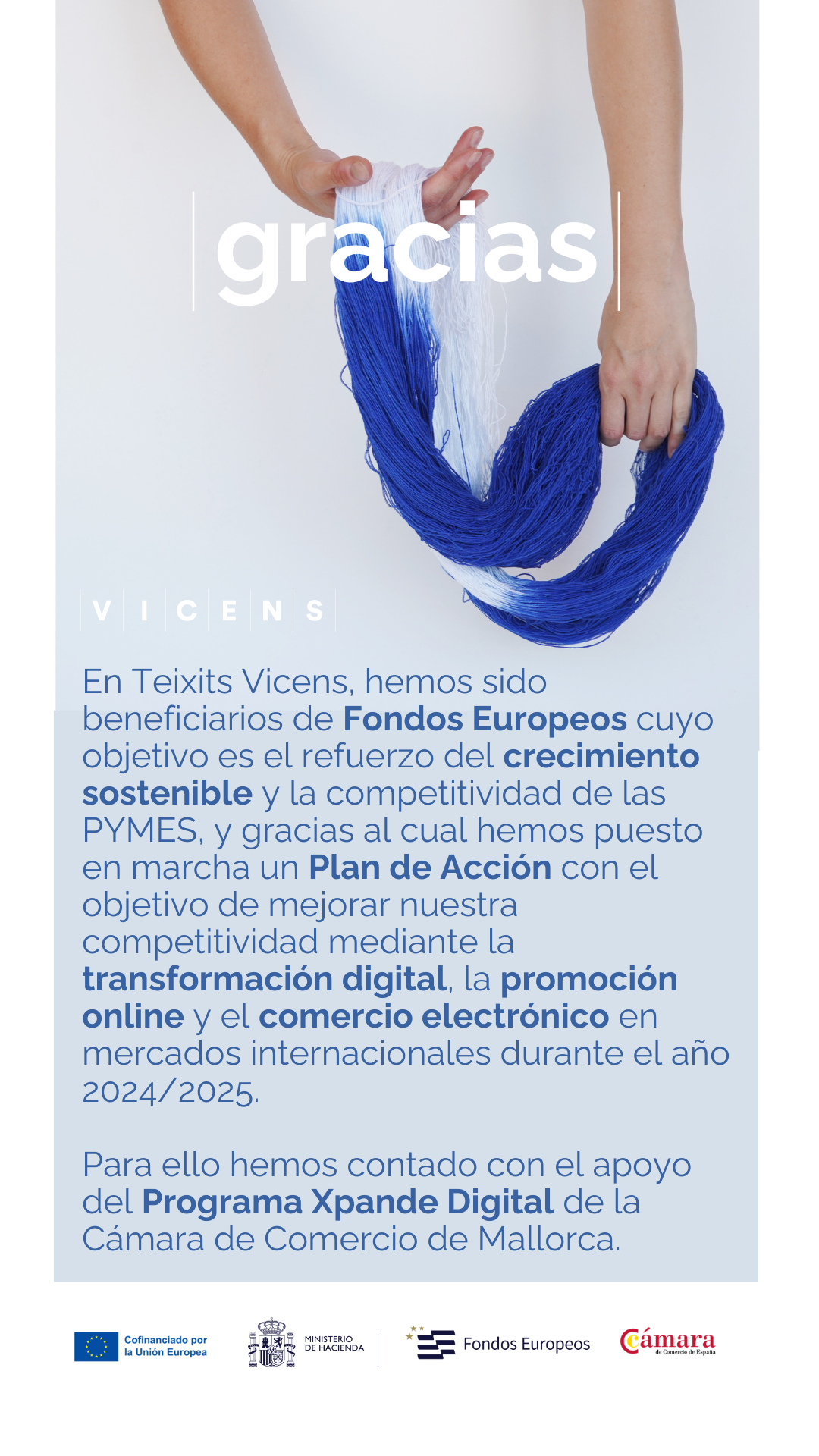 Business Digitalization: The Case of Teixits Vicens with the Xpande Digital Program